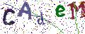 Imagine CAPTCHA