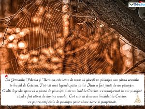 Felicitare crăciun 06