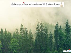 Felicitare crăciun 07