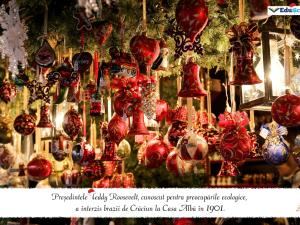 Felicitare crăciun 11