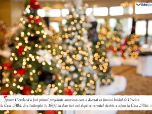 Felicitare crăciun 12