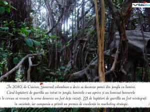 Felicitare crăciun 13