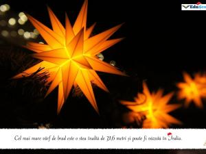 Felicitare crăciun 16