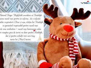 Felicitare crăciun 21