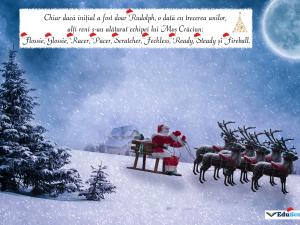 Felicitare crăciun 23