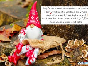 Felicitare crăciun 30