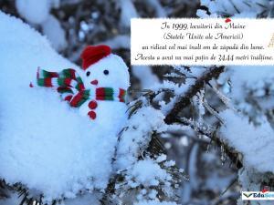 Felicitare crăciun 36