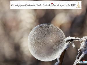 Felicitare crăciun 42