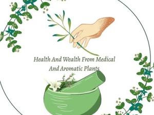 Health and Wealth from Medicinal and Aromatic Plants