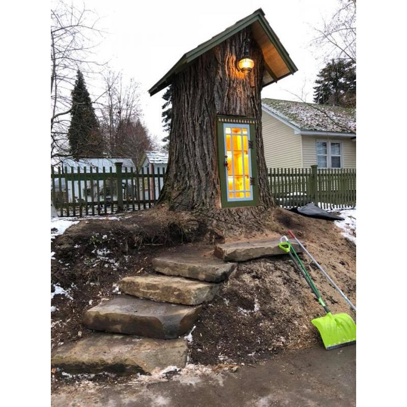 Sursa foto: thewildchild.co.za