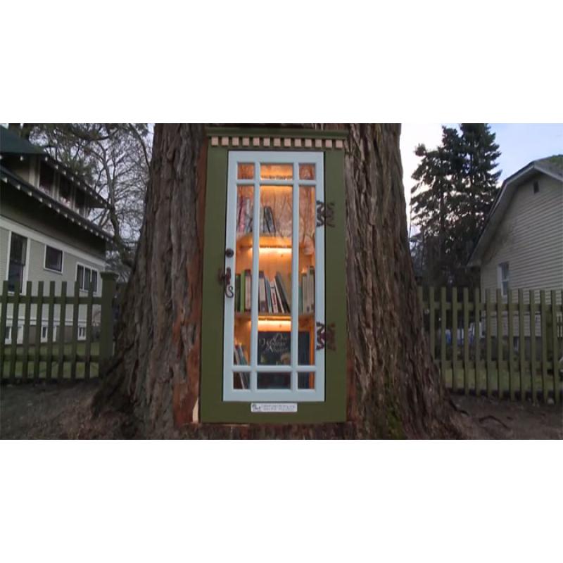 Sursa foto: thewildchild.co.za