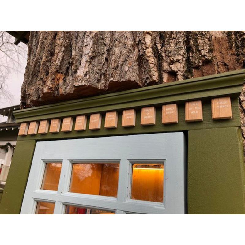 Sursa foto: thewildchild.co.za