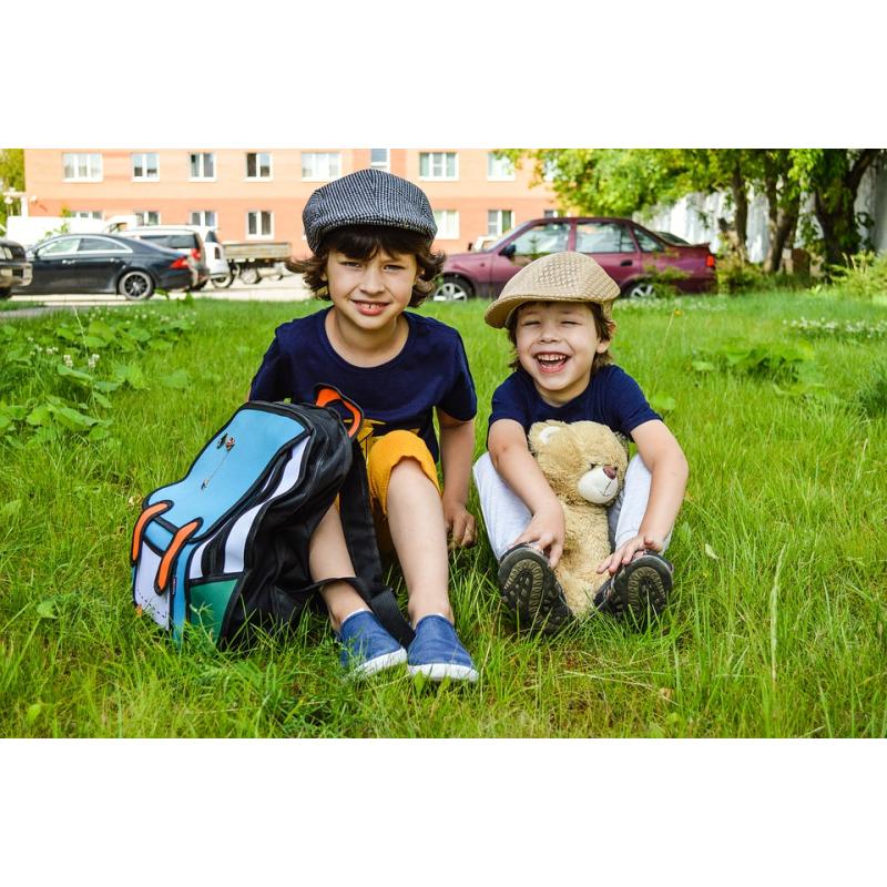 sursa foto: pixabay.com