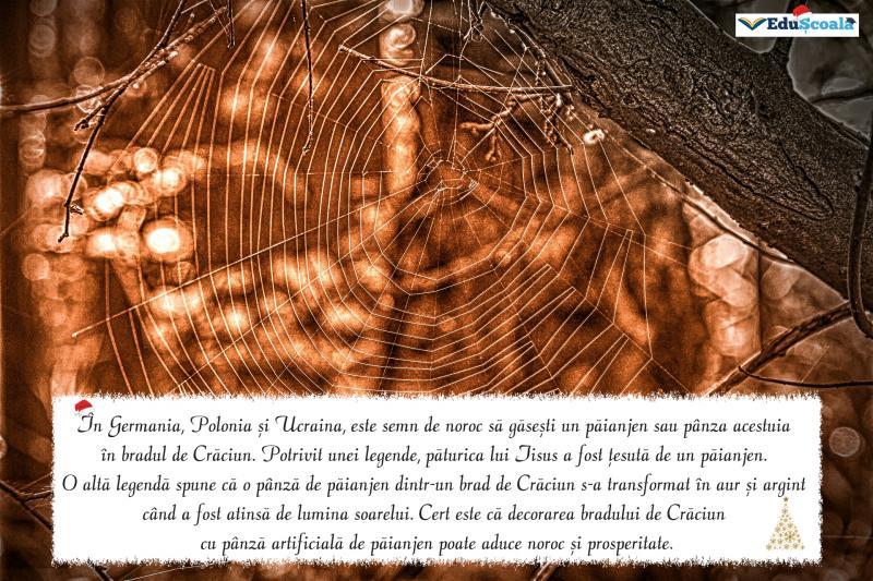 Felicitare crăciun 06