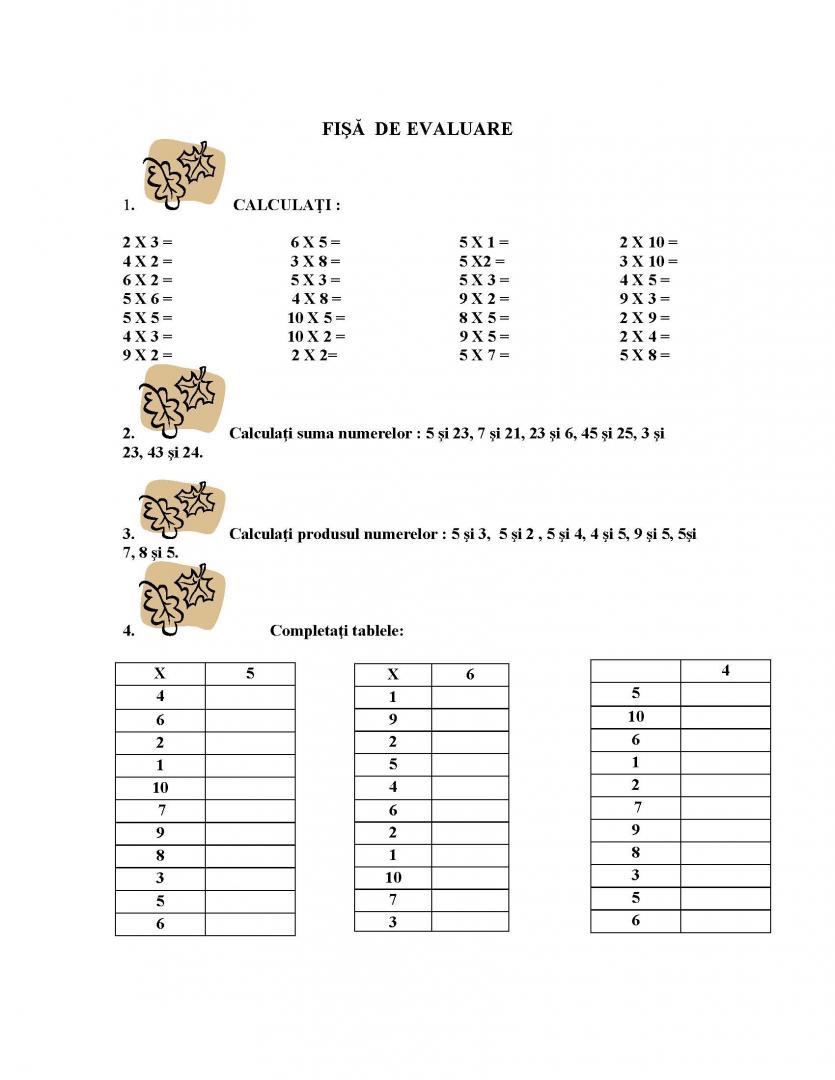 FIŞĂ  DE EVALUARE
