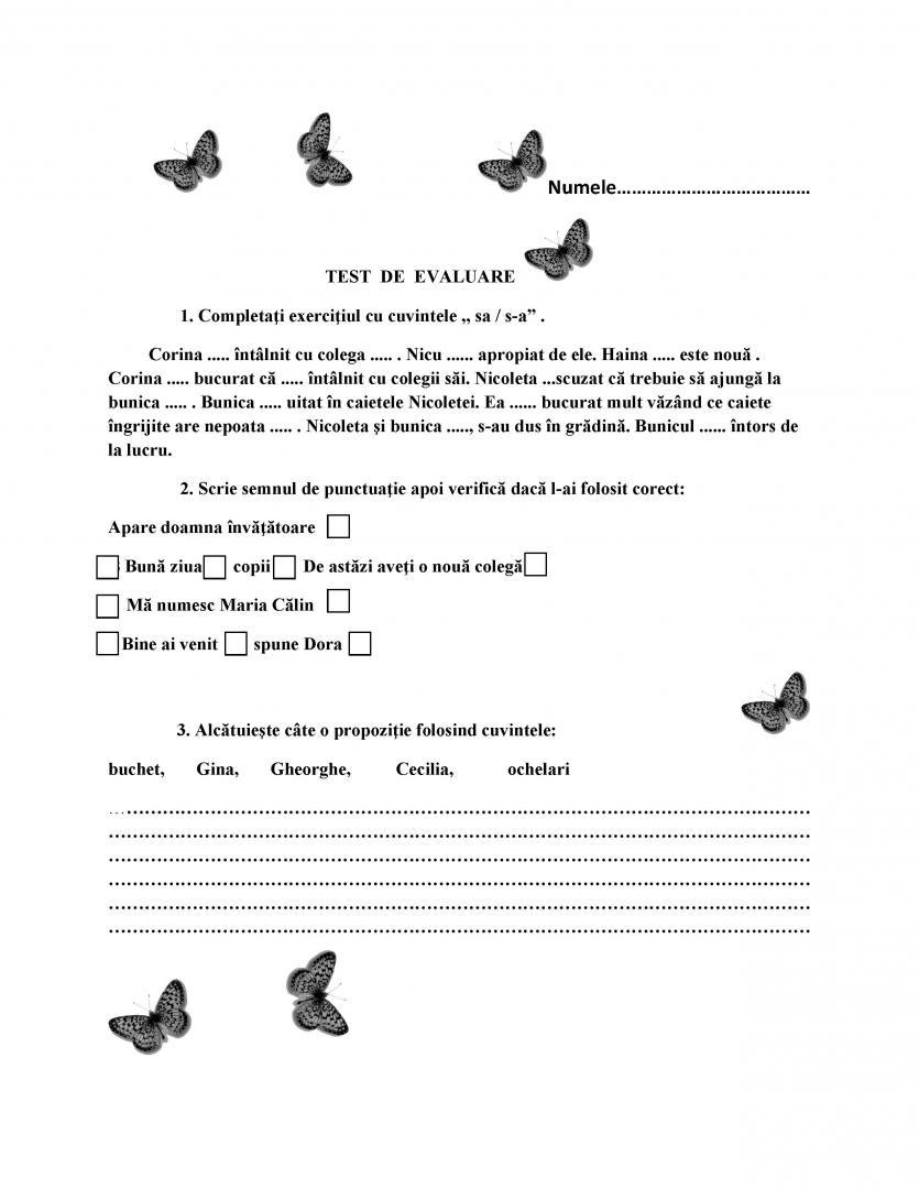 TEST  DE  EVALUARE
