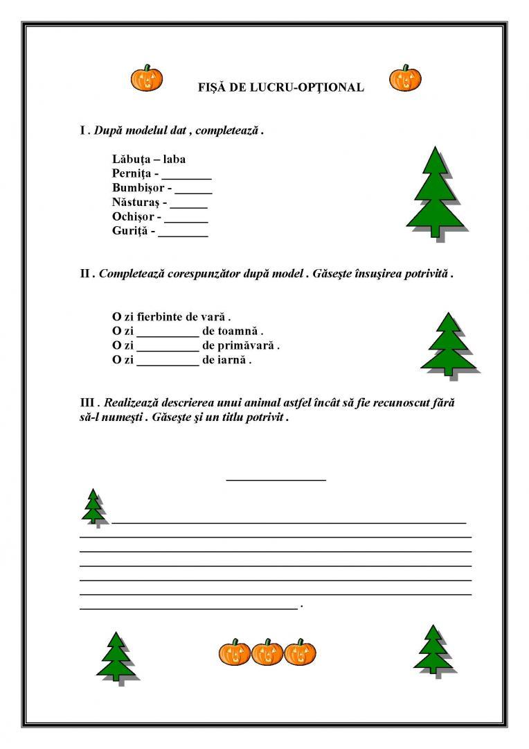 FIŞĂ DE LUCRU- OPŢIONAL LLR