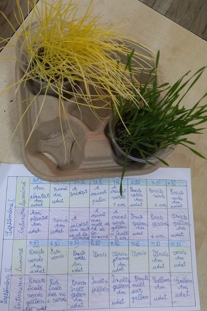 Compararea evoluției plantelor când unul dintre factorii de mediu este restricționat