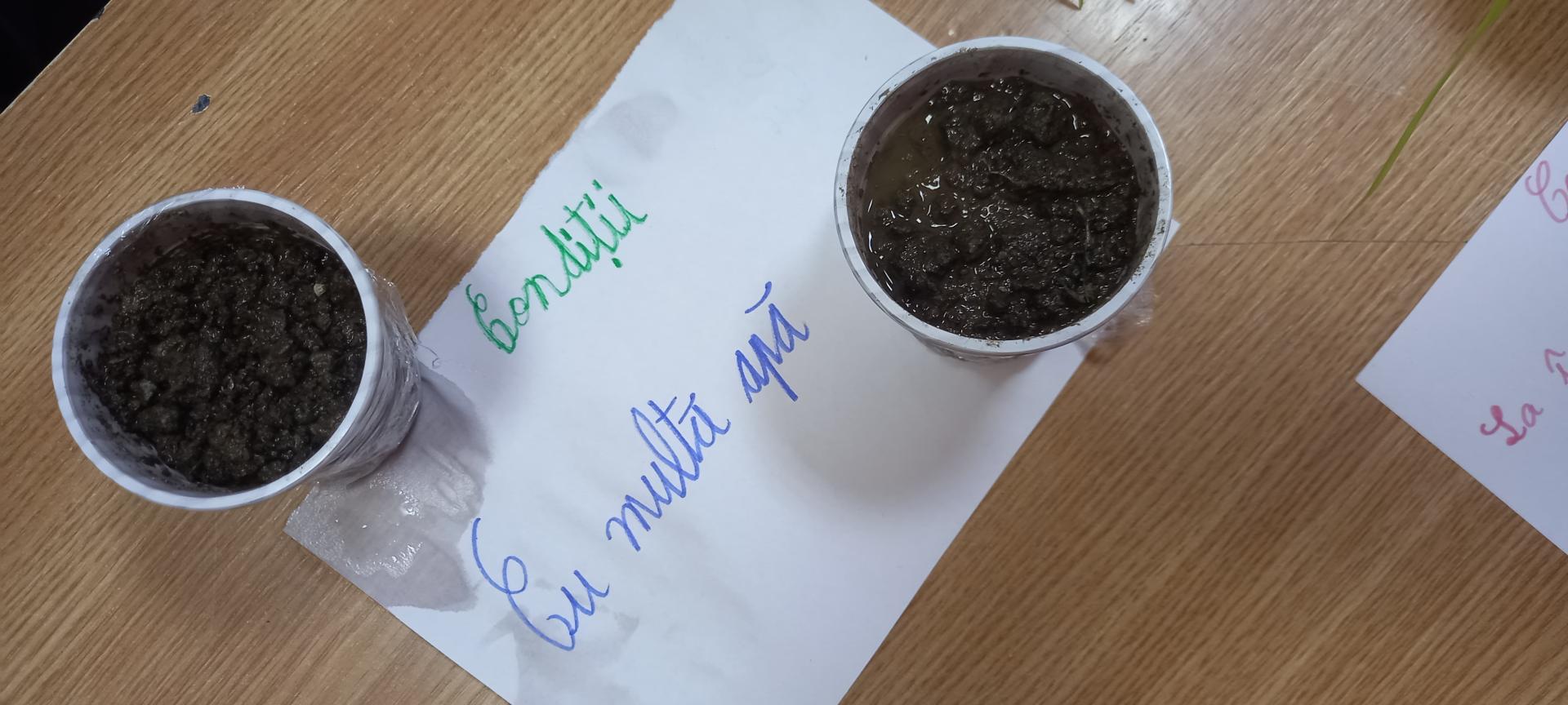 Concluzii- mediu cu exces de apă