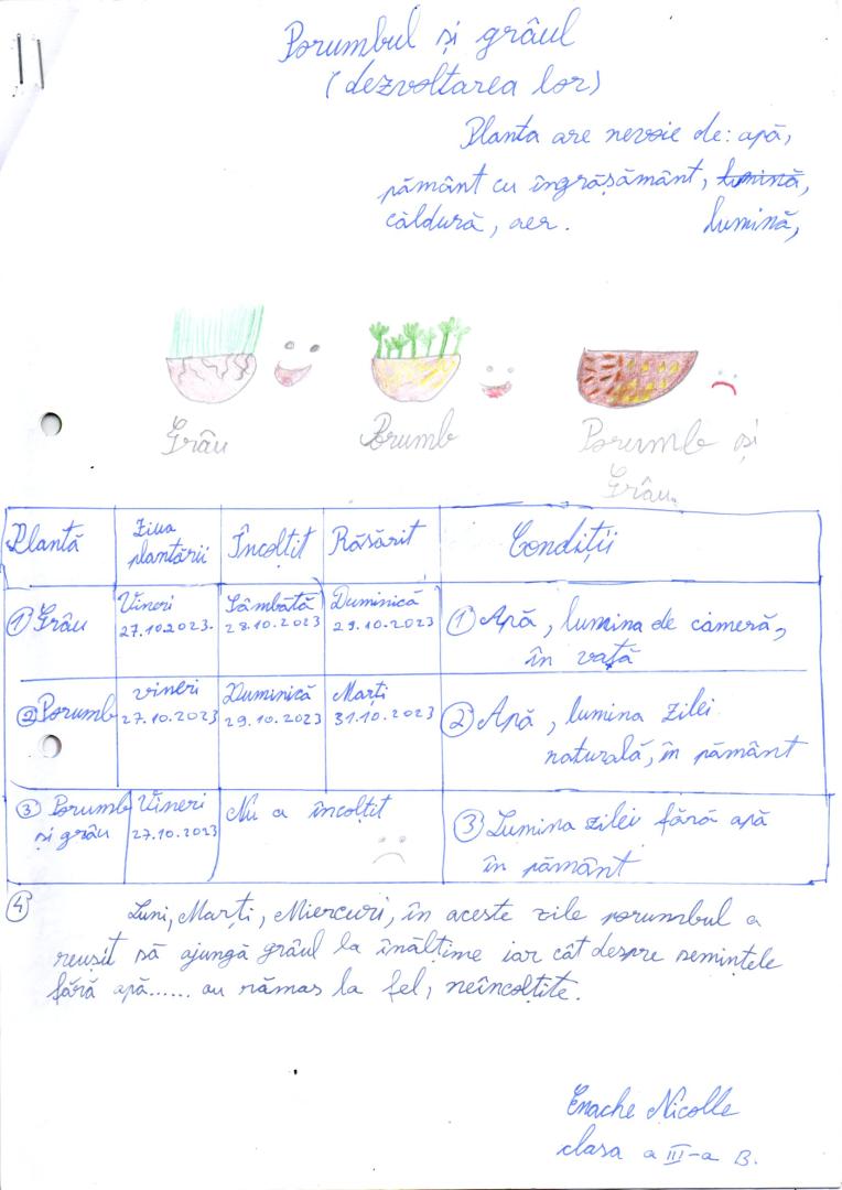 Fișă de observare- model orientativ