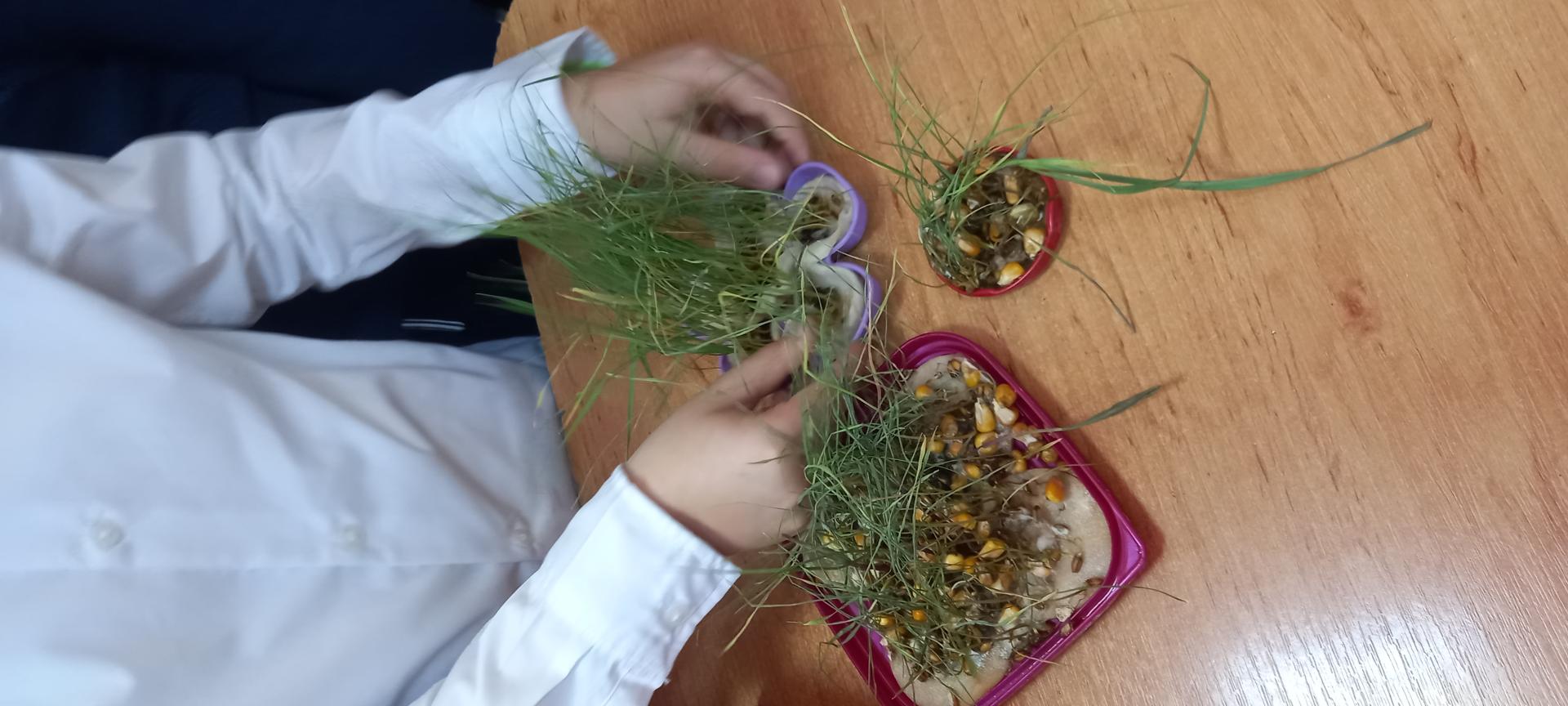 Mediu lipsit de apă